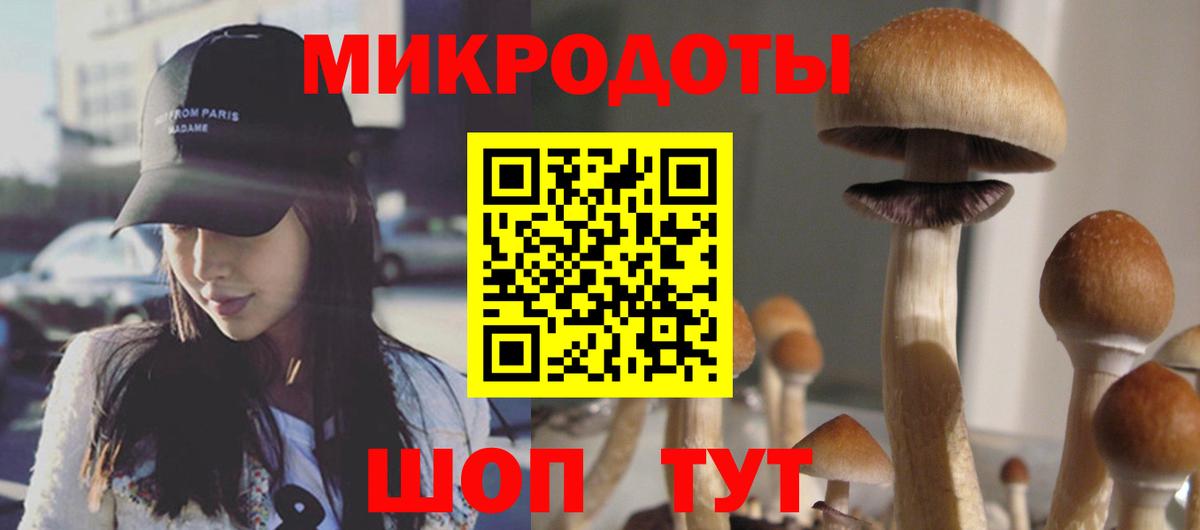 Псилоцибиновые грибы прущие грибы Елабуга